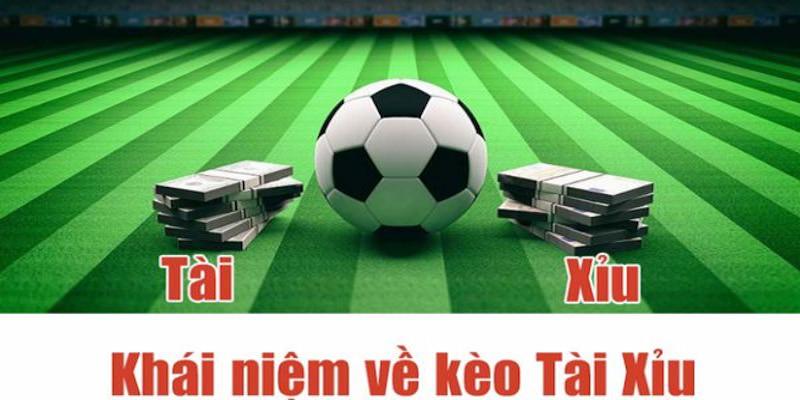 Khám phá 8 pool online cùng trải nghiệm cá cược đỉnh cao